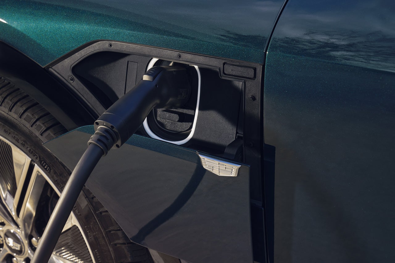 Ed Morse Cadillac Tampa FL in TAMPA FL