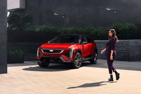 Ed Morse Cadillac Tampa FL in TAMPA FL