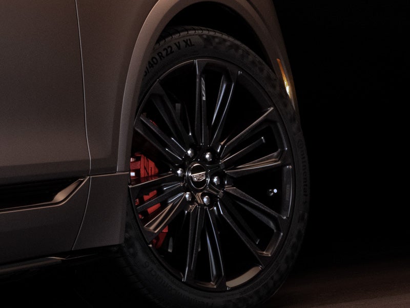 Ed Morse Cadillac Tampa FL in TAMPA FL