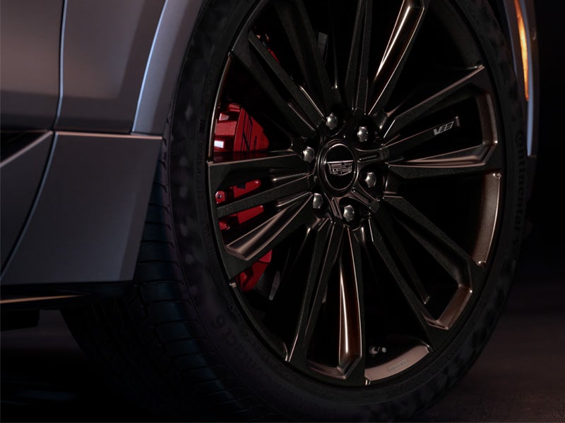 Ed Morse Cadillac Tampa FL in TAMPA FL