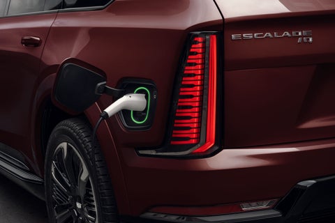 Ed Morse Cadillac Tampa FL in TAMPA FL