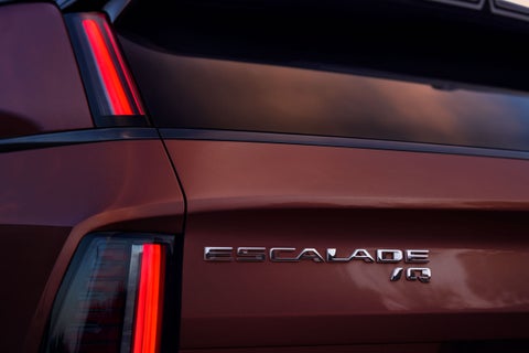 Ed Morse Cadillac Tampa FL in TAMPA FL