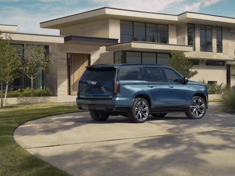 Ed Morse Cadillac Tampa FL in TAMPA FL