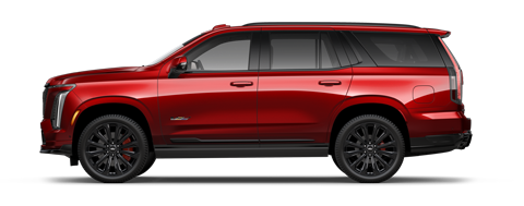 Ed Morse Cadillac Tampa FL in TAMPA FL