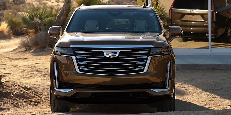 Front view of two Cadillac Escalades with a clear view of their grille, headlights, and sleek design.