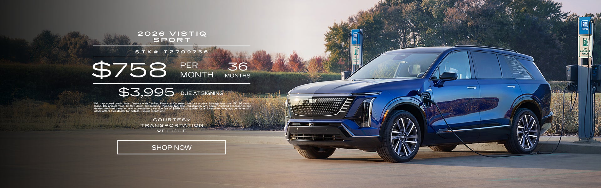 Courtesy 2026 VISTIQ Sport